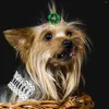 Abbigliamento per cani Capelli natalizi Associati da 30 pezzi elastici che curano cucciolo pet party casuale