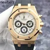 Herren Audemar Pigue Uhr Apf Factory Swiss Royal Oak Audpi Herren mechanische Armbanduhr Epic Series 26022 oder seltene Panda-Platte 18 Karat Roségold 39 mm mechanisch WNMYSD1