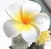 2quot 5cm Hawaiian Pe Plumeria Çiçek Frangipani Köpük Çiçek Meşzili 100 PCSLOT 9014691