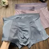 Underpants Mesh Ice Silk Air Conditioner Pants Men's Underwear Traceless Lightweight Boys' Youth Feeling