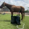 Soins de santé des chevaux Vet Traitements physiques Machine Loop PEMF Améliorer le soulagement de la douleur à lamelle des chevaux et le dispositif de thérapie magnétique PEMF PEMF