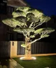 DC24V Outdoor Lawn lamps waterproof hug spotlight Park landscape lighting decoration ring led tree light