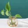 Vases Terrarium Retro Iron Line Vase Hydroponic Plant Flower Home Decor Metal Holder Nordic Styles Durable