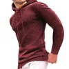 Men's Hoodies Fall Winter Long Sleeve Hoodie Plaid Hooded Sweatshirts For Men Pullover Light Weight