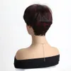 Synthetic Wigs Black Mixed With Purple Red Synthetic Hair Wig Short Straight Women's Natural Wigs Rose Mesh Daily Use Party Cosplay Head Cover 231211