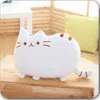 플러시 인형 귀여운 쿠키 고양이 베개 부드러운 사무실 낮잠 쿠션 장난감 박제 정지 침대 수면 홈 장식 선물 인형 아이 231211