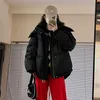 Women Down Parkas Grey Down Cotton Kurtka Kobiety Zimowe z kapturem luźne puffer parki gęste ciepłe kobiece haft haftowy płaszcz śnieżny 231208