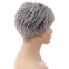 Parrucche Cosplay Parrucca corta Capelli sintetici per donna europea e americana Uso quotidiano Moda Mix Colore Argento Grigio Copricapo in fibra chimica 231211