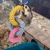 Andra fågelförsörjningar hamster klättring rep tre kedja sväng leksak bomull lätt att fästa praktisk bur för chinchillas mus husdjur
