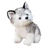 Animales de peluche rellenos 20-30 cm lindo Husky perro juguete lobo suave animal kawaii niños muñeca mullido regalo de cumpleaños niño niño wj131 q0727 ot4ri