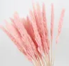 15pcs 자연스러운 말린 작은 팜파스 잔디 phragmites 결혼식 꽃 무리 40 ~ 68cm el home decor14784460