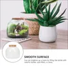 Vaser Bell Jar Case Stand Micro Landscape Ecological Bottle Live Succulents Plants Microlandscape Holder Terrarium Glass Dome