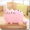 Plush Dolls Cute Cookie Cat Pillow Soft Office Nap Cushion Toy Stuffed Pause Bed Sleep Home Decor Gift Doll Kids 231211