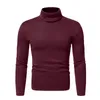 Pulls pour hommes Tops de base Tops à col roulé à manches longues Casual Stretch Slim Fit Pull Mâle Automne Hiver Blouse de couleur unie