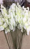 Branches d'orchidées blanches entières, 20 pièces, fleurs artificielles pour décoration de fête de mariage, orchidées bon marché, 3472247