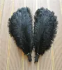 Whole 50pcslot 1618inch4045cm Black Ostrich Feathers for wedding Decoration wedding centerpieces party supp4201767