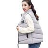 Damenwesten Mode 2024 Herbst Winter Frauen Stehkragen Baumwolle LadiesWos Mäntel Schlanke ärmellose Wasitcoat Gepolsterte Jacken Warme Gilet