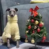 Hundebekleidung, italienischer Windhund, vierbeiniger Overall, warmer Wintermantel, Whitbit Clothing 231211