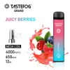 Tastefog Grand 4000 Puf Tek Kullanımlık Vape Kalem Kalıp Bobini 2% 12 ML Tek Kullanımlık E-Sigara Vaper Tornado 10 Teşer Stokta