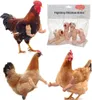 Engraçado luta braços de frango brinquedos artificial vestindo braço muscular para pombo galinha pet tema festa adereços acessórios de frango suprimentos