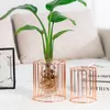 Vasi Elegante vaso per piante idroponiche con cornice geometrica champagne per soggiorno, camera da letto, studio
