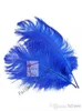 Hela 100pcslot 1214Inch3035cm Royal Blue Ostrich Feather Plume For Wedding Centerpiece Home Decor4491587