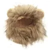 Abbigliamento per cani carino cappello da gatto in stile leone super morbido amichevole traspirante alla pelle novità leggera PROGRAZIONE POGRAFIA POGRAMMA