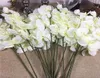 20 pçslote ramos de orquídea brancos inteiros flores artificiais para decoração de festa de casamento orquídeas flores baratas 1313764