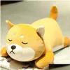 Nadziewane pluszowe zwierzęta Szkarłatny kot Śliczny gruby shiba pies pies miękka kawaills kreskówkowa poduszka cudowna prezent dla dzieci Plushies Q0727 Drop otib2