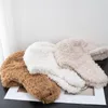 Berets Winter Einfarbig Lamm Fleece Sherpa Peru Hut Männer Frauen Paare Einfache Vielseitig Outdoor Winddicht Wärme Ohr Schutz Kappe