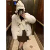 Pelliccia da donna Autunno Inverno Coreano Elegante Lusso Imitazione Giacca Finta Donna Cappotto Caldo Moda Sexy Soffice Top Vestiti C29
