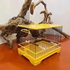 Bird Cages ucieńczenie pet klatkę przepiórka chomika małego ptaków podajnik Schronienie Transport Jaula Decorativa Habitat Decors 231211