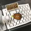 Fournitures pour reptiles Plate-forme de baignade aquatique avec ventouses Rampe de tortue Terrasse Île flottante Accessoires de décoration d'habitat de tortue 231211