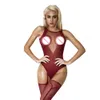 Dames Visnet Strakke Lingeriekostuums Erotisch Mesh Hol Doorzichtig Full Bodystocking Sexy Perspectief Panty Kleding sexy