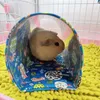 Andra husdjurstillbehör Hamster Game Pipeline Small Fun Tunnel Foldbar Hide Passage Tube Guinea Pig Hedgehog Totoro Ferret Cage Accessories 231211