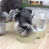 Fountaine de animaux de compagnie automatique Cat Chien Waterers Plastic Dish Bowl Feeder Water Dispenser Brinking Feeding