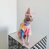 Costumi per gatti Vestiti per gatti senza peli Sphinx Deven Arcobaleno T-shirt traspirante Vestiti per animali domestici per cani di piccola taglia Camicia Abbigliamento per gatti 231212