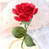 Красавица и чудовище, вечный цветок, роза в колбе, свадебное украшение, искусственные цветы в стеклянной обложке на день святого Валентина, Gifts201S