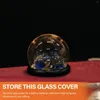 Storage Bottles Display Glass Cover Landscape Dome Cabinets LED With Wood Base Gift Packaging Wooden Immortal Flower Clear Vase