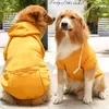 Abbigliamento per cani Abbigliamento invernale per cappotto piccolo Giacca Anorak Accessori Chihuahua Pug Felpa con cappuccio Bull The Nord Face Puppy Costume medio