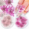 Nagelkonstdekorationer 100 st torkade blommor nagelkonst dekoration charms naturliga blommor klistermärken diy manikyr tillbehör för uv gel nagellackförsörjning 231211