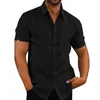 Chemises décontractées pour hommes Blouses d'été pour hommes Chemise en lin de coton pour hommes à manches courtes Formel Business Social Top Homme Vêtements