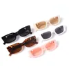 Sonnenbrille Retro Cool Small Frame Cat Eye für Damen 2023 Luxus Herren Fashion Jelly mit Metallscharnieren 231212