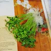 装飾的な花12pcs人工プラスチック水の芽の家庭用テーブルのための偽の植物展示装飾植物