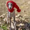 Andra hundförsörjningar Whippet Winter Woolen Hat Red Pet Italian Greyhound Christmas Gift With Fur Ball 231211