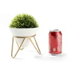 Decorative Flowers Artificial Plant Faux Greeny Grass Potted In Conical Shape White Ceramic Pot With A Removable Galvanized Brass Metal Rack