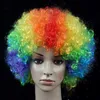 Cosplay Wigs Wavy Curly Round Explosion Hair Wig Cosplay Dance Hairpiece Colourful Funny Clown Afro Hairstyle Fluffy Explosive Head PartyL240124