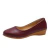 Zapatos de vestir Otoño Bombas de mujer Moda Punta redonda Tacones de cuña poco profundos Diario Fondo suave Slip-on Office Lady Tacón pequeño Cuero