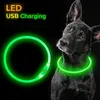 Dog Training Obedience Led Light Collar Destacável Brilhante USB Carregamento Luminoso Leash para Big Cat Pequeno Brilhante Labrador Animais de Estimação Cães Produtos 231211