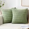 Pillow Flannel Pillowcase Thick Cozy Covers For Home Decor Sofa Hidden Zipper Bedside Cases Solid